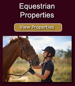 Click here to view our Equestrian properties